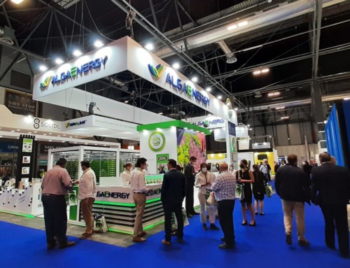 AlgaEnergy torna a sorprendere a Fruit Attraction