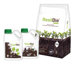Bodegon ResilBio_IT copia