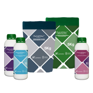 Diseño sin título (55)