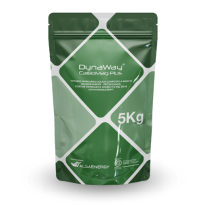 Diseño sin título – 2024-11-25T162238.199