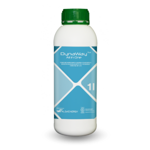 Diseño sin título – 2024-11-25T162400.011